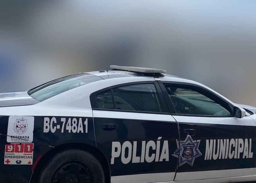 Arrestan a masculino por el probable delito de robo con violencia y ...